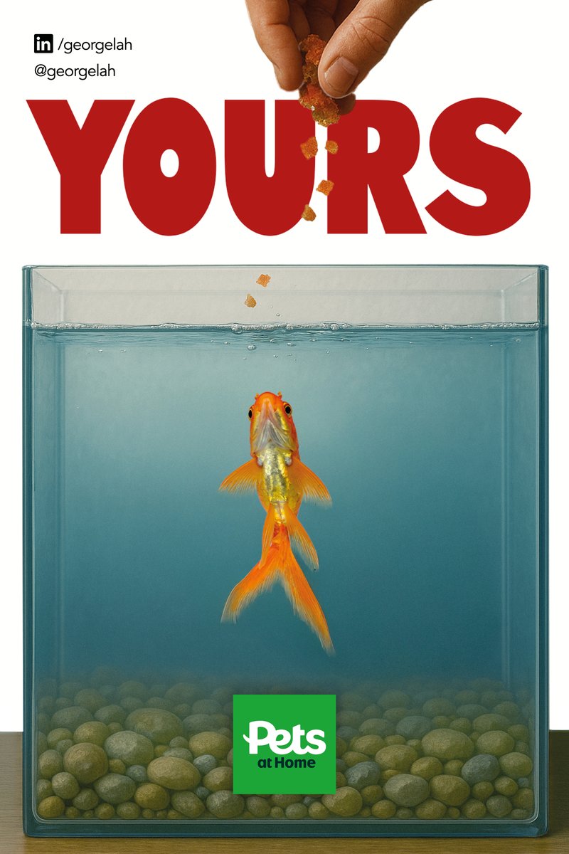 georgelah's tweet image. 'Yours' from £24…

@OneMinuteBriefs Brief of the Day: Create posters to advertise #FishTanks 🐟🐠🫧

@PetsatHome