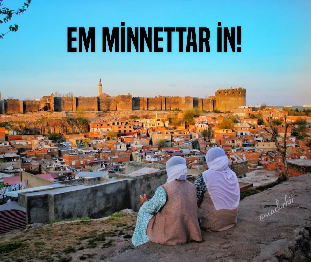 Em minnettar in!