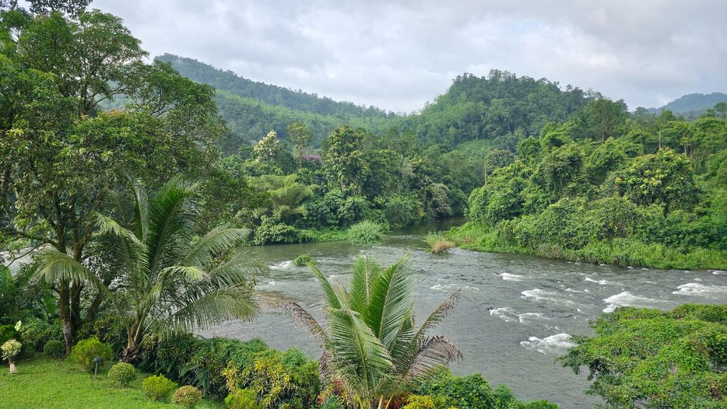 ThasminAmmon's tweet photo. The beauty of mother nature.
#mycountrySriLanka
#Kithulgala
#loveSriLanka https://t.co/vW1POHIufz