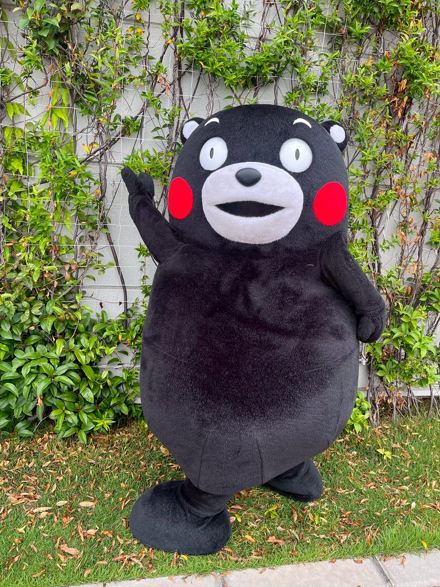 KumamonStaff's tweet image. ツタを使えばこの壁を登れるとひらめいたくまモン!
でも、あなたの体重にツタさんはたえられないのでは・・・
結果はみなさんおわかりですよね・・・!