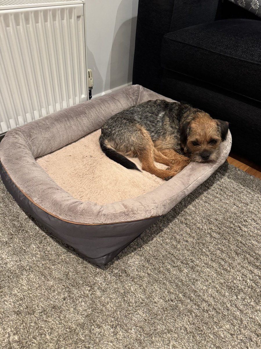 What you mean it’s not my bed? 🤔

It’s in my house so it’s mine! #btlogic 🤪 #btposse