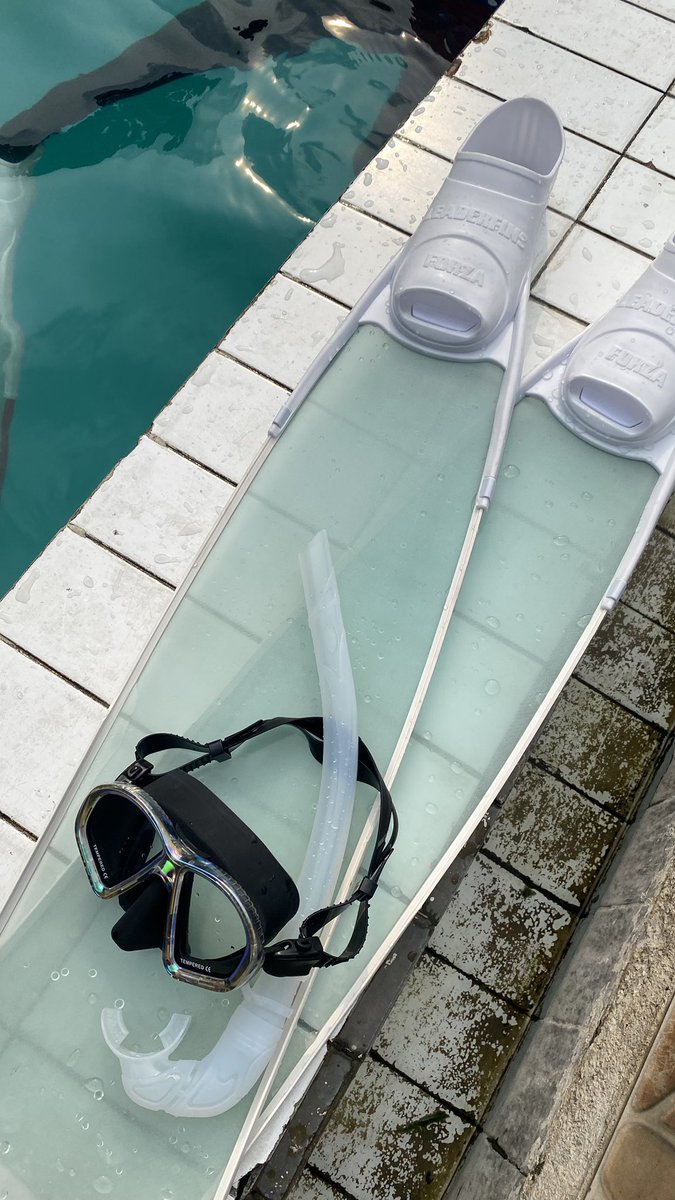 dpprvr's tweet photo. • gongnya main freediving ya punya fins
aku pake punya leaderfins fiberglass beli di surabaya dive store, ambil yg medium karena pas coba soft terlalu enteng.
ada saran dari coachku kalo bb diatas 70 ambil yg medium kurang dari itu soft.

shopee : https://t.co/j1FsVwpOCS https://t.co/9ZAeGyvyyr