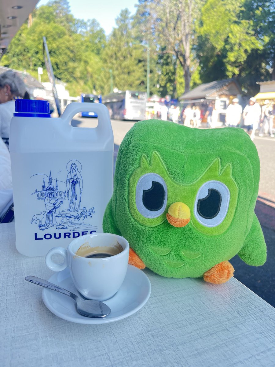 ToleranceSite's tweet photo. Duo is enjoying coffee @Lourdes.  Duo, a gift from my student, on pilgrimage with me in Lourdes. 💚☕
#DuoOnTheGo #Duolingo #Lourdes2025 https://t.co/26GhfYTqrv