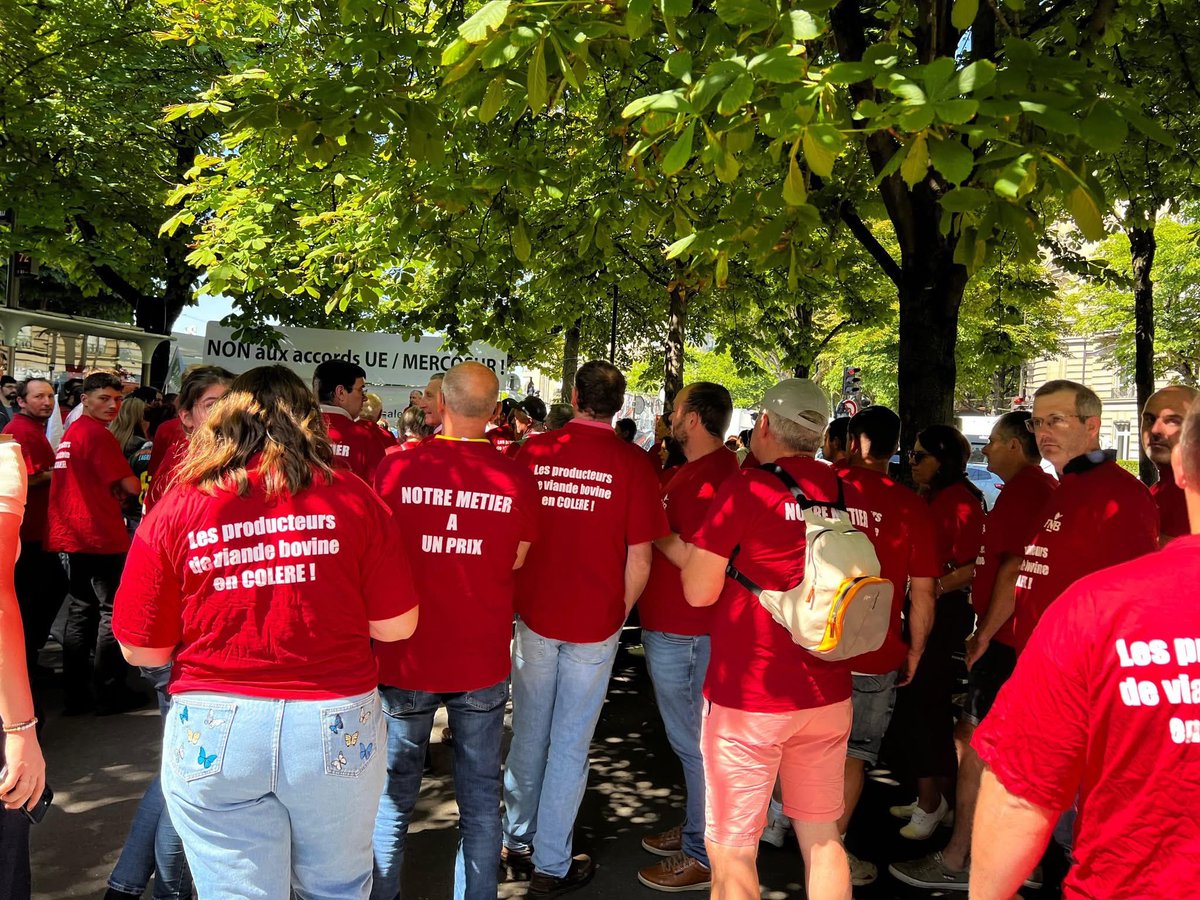 🪧 🐮 Cette semaine, avec plusieurs collègues parlementaires de mon groupe, j'étais aux côtés des éleveurs mobilisés contre l’accord UE-Mercosur,  lors du rassemblement organisé devant l'ambassade du Brésil à Paris.

❌ Cet accord est inacceptable pour nos agriculteurs et