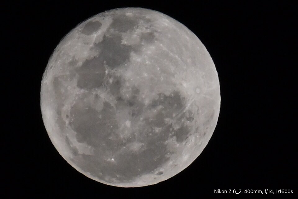 GeorgeSz12's tweet photo. Hi All,
Full Moon Rising in Brisbane over the Neville Bonner Bridge from The Cultural Centre
Have great Friday Night
#fullmoonrising #brisbane
#nivillebonnerbridge
#nikonz6ii #z6ii #mynikonlife
#nikonZ28to400
@OliviaQLD @DiQld
@Darci_Grace_ https://t.co/DhpbkMsu75