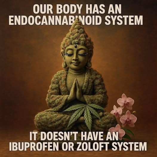 Patrick Dewals tweet media