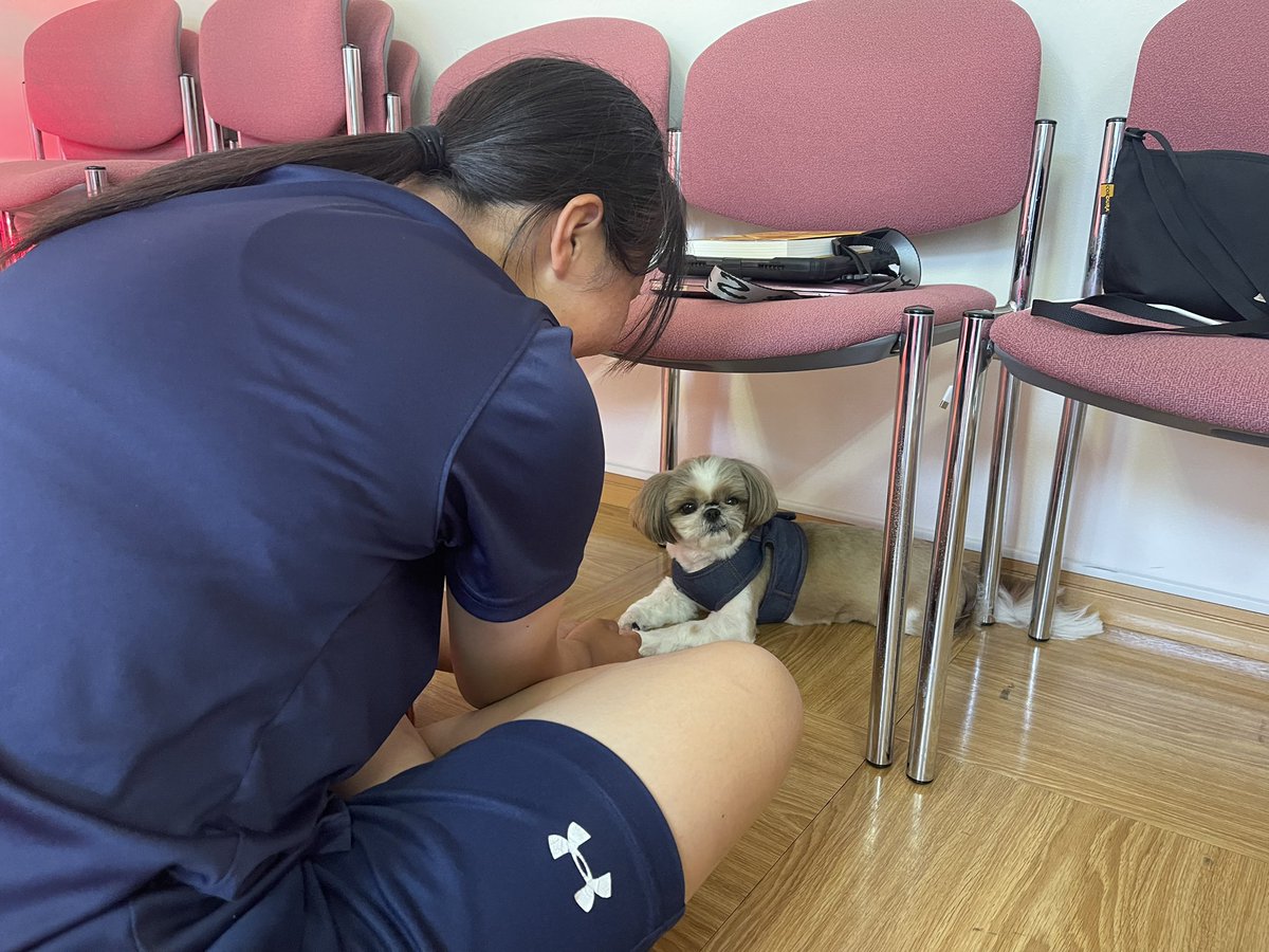 purple_edg61721's tweet photo. 2025/7/11 昨日に続き高知中央高等学校女子硬式野球部がトレーニングに来てくれました⚾️今日は2種類のフレーバーのプロテインドリンクを作りました🥛　#骨トレーニング #骨トレ #食育 #脳ケア #パープルエッジ #biodensity #美骨 #骨折予防 #女子野球 #拡がれ女子野球 #高知市 #高知県 https://t.co/s6Y3FVW9vh