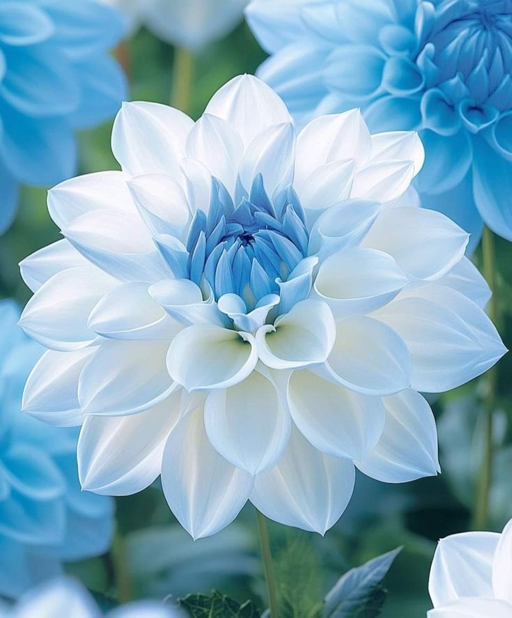 🌻✨🐝けんちゃん🌻しばらくポストはお休みします… tweet media