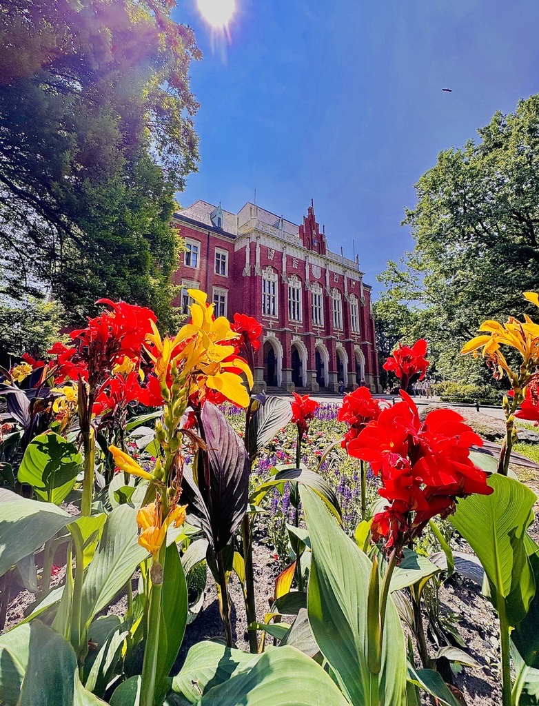 JU Center for International Cooperation tweet media