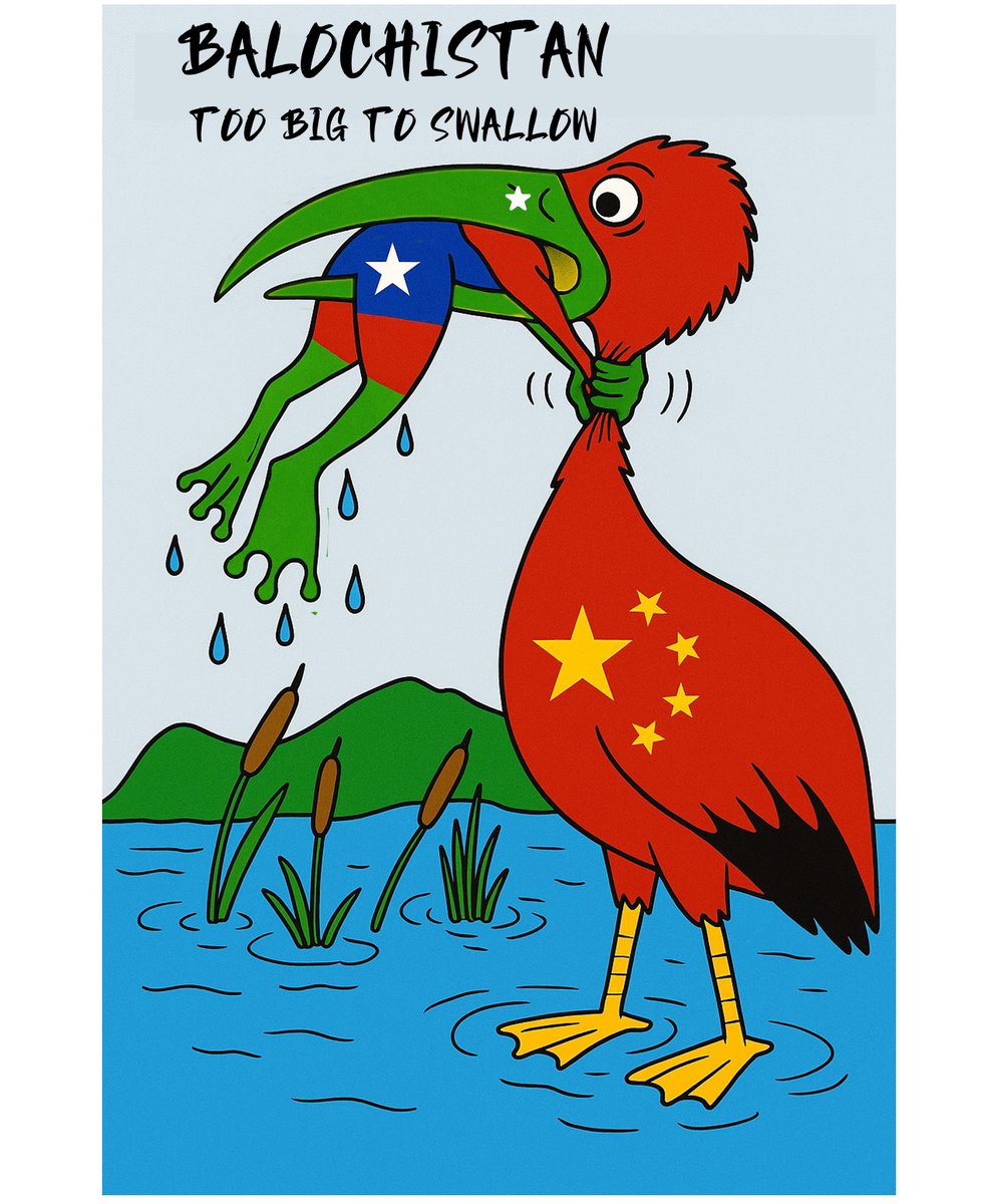 miryar_baloch's tweet photo. Patriots,
#NeverGiveUP
The Baloch people of the #RepublicOfBalochistan will no longer allow Pakistan and China to plunder their national wealth.
No minerals, no exploitation, no funding for proxies of occupation.
Balochistan's resources belong to its people — not to foreign powers.
