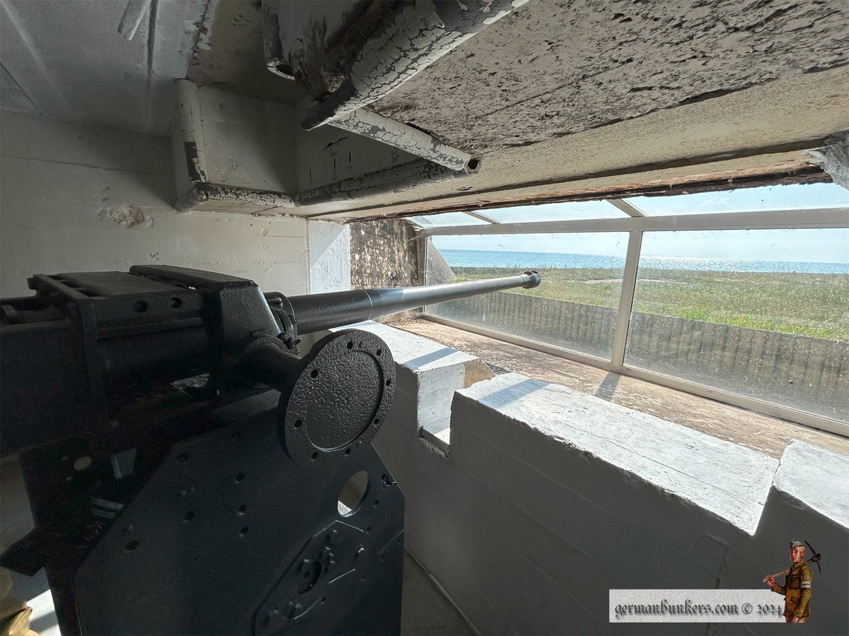 germanbunkers's tweet image. This is Wn 106, Quineville along the northern stretch of Utah Beach which is part KVUGr St Vaast, (Küstenverteidigungsuntergruppe), the German designation for this area of the Atlantikwall. Here a 667 type bunker with its 5cm KWK gun, a view from outside & a dog, not mine. #WW2