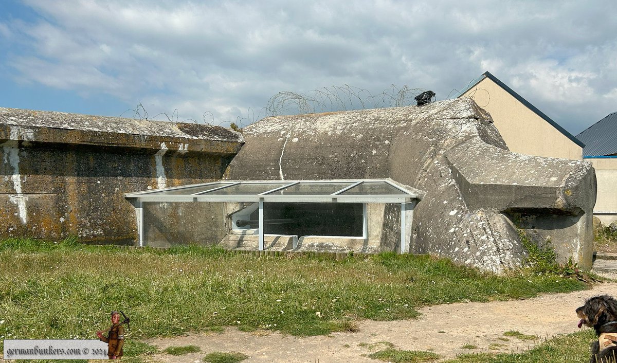 germanbunkers's tweet image. This is Wn 106, Quineville along the northern stretch of Utah Beach which is part KVUGr St Vaast, (Küstenverteidigungsuntergruppe), the German designation for this area of the Atlantikwall. Here a 667 type bunker with its 5cm KWK gun, a view from outside & a dog, not mine. #WW2
