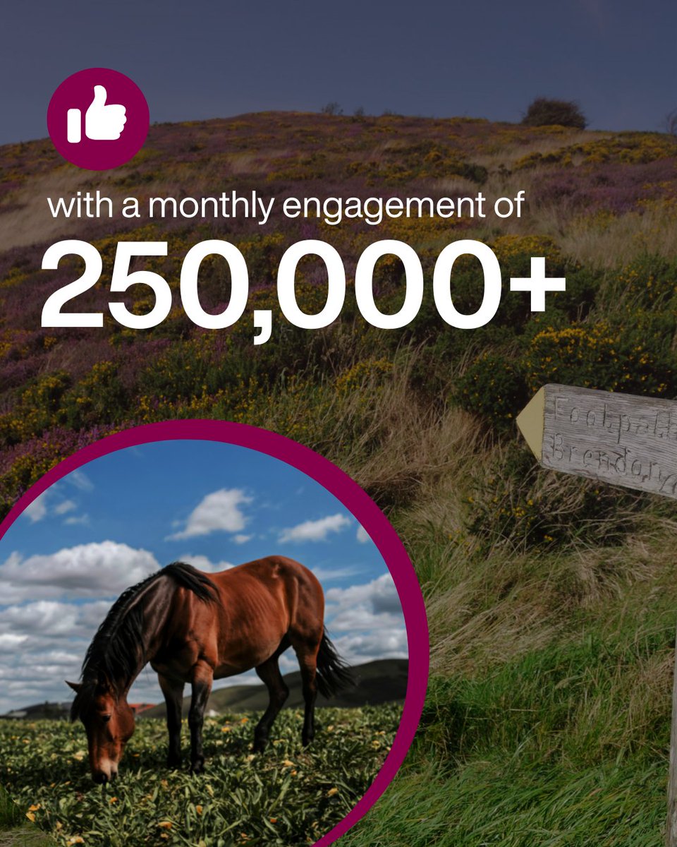 Want to grow your business &amp; reach more visitors? Join Visit Exmoor &amp; tap into our 37K+ followers &amp; 250K+ monthly social media engagements! 🚀 Boost visibility &amp; bookings while supporting Exmoor tourism 👉 visit-exmoor.co.uk/why-join-visit…