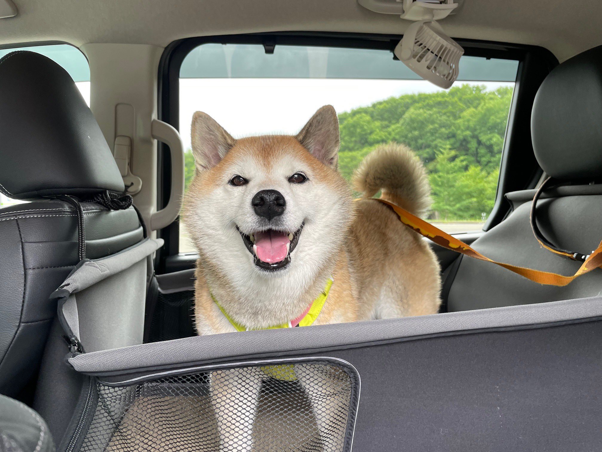 ちせさん確認ページ‪⸜(*ˊᵕˋ* )⸝‬♡