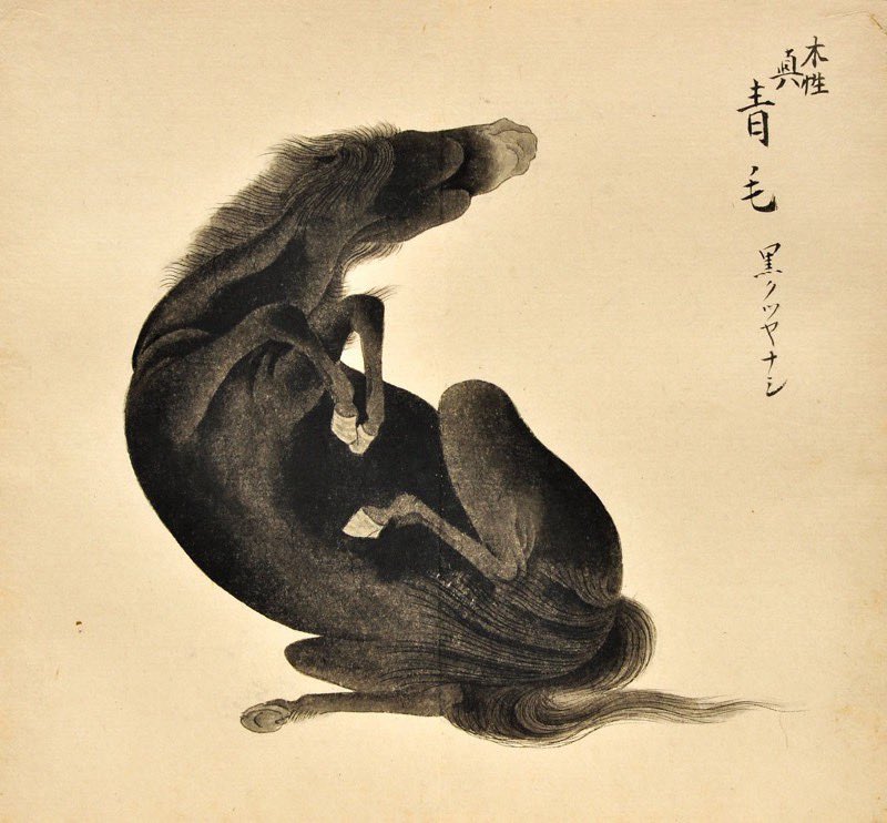 inlibris_at's tweet photo. Hyakuba no zu [The Hundred Horses], Japan, Bunsei era, 1818-30.

BN# 38559

#rarebooks #rarebookdealer #horses #equine #Vienna #Wien https://t.co/BsrFBBtOEM