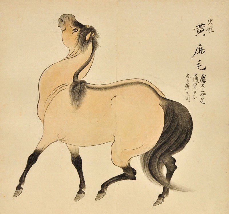 inlibris_at's tweet photo. Hyakuba no zu [The Hundred Horses], Japan, Bunsei era, 1818-30.

BN# 38559

#rarebooks #rarebookdealer #horses #equine #Vienna #Wien https://t.co/BsrFBBtOEM