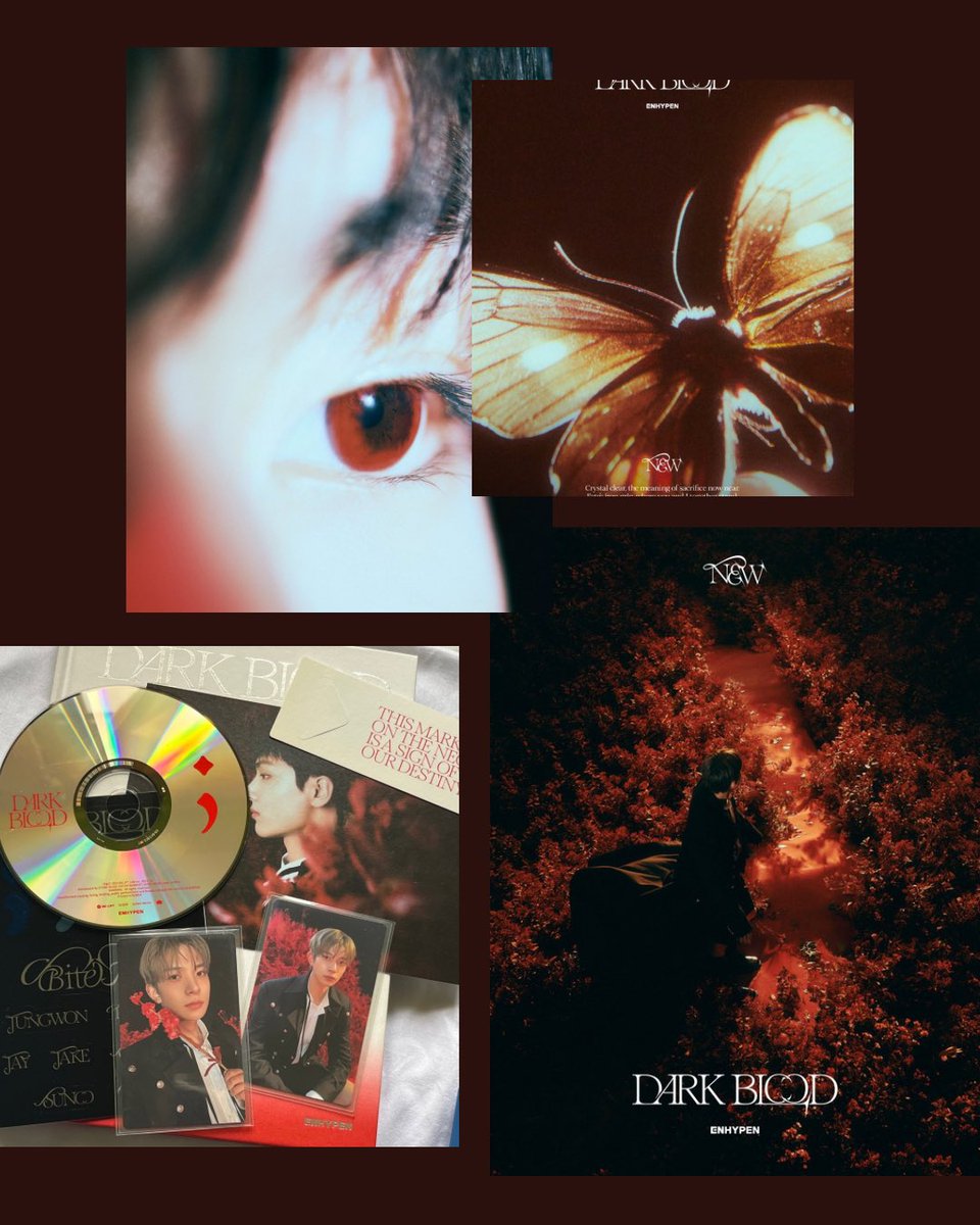 TOMMOCART's tweet photo. ꒰ #tommosells | wts lfb ph 🛒 ꒱

enhypen dark blood unsealed albumッ
      ☆ complete inclu except poster &amp; qr
      ☆ 500 ea ver.

💳 gcash | j&amp;t
📍fairview, quezon city

🏷 jungwon heeseung jay jake sunghoon sunoo db ni-ki full half new version https://t.co/Y5iTOTXfhd