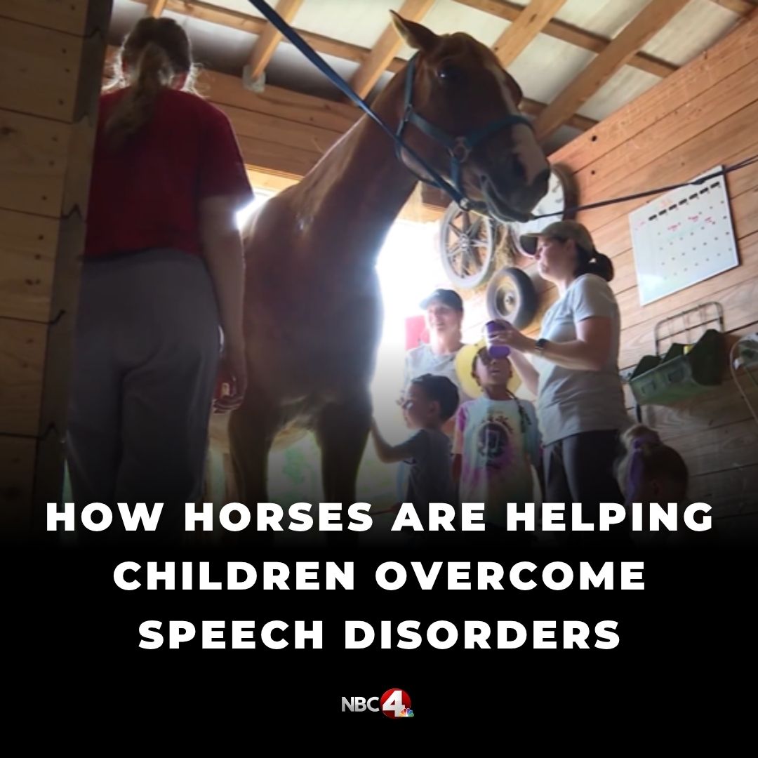 Children with speech and language difficulties worked with horses in a first-ever pilot camp using evidence-based equine therapy. nbc4i.co/45Z3hs7?utm_me…