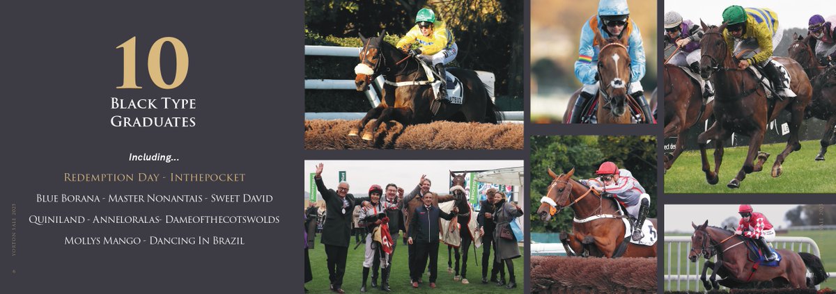 Goffs UK (@goffsuk) on Twitter photo 10 black type graduates from just 5 sales, including 2 Grade 1 Festival winners ๐
#GoffsYorton | 4 September
<a href="/YortonFarm/">Yorton Farm Stud</a> <a href="/YortonSale/">Yorton Sale</a> 10 black type graduates from just 5 sales, including 2 Grade 1 Festival winners ๐
#GoffsYorton | 4 September
<a href="/YortonFarm/">Yorton Farm Stud</a> <a href="/YortonSale/">Yorton Sale</a>