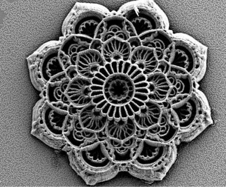 AdvPortfolio's tweet image. Art at the microscale 🎨
With just one composite &amp; particle size, researchers @ambercentre used photoresist &amp; laser writing to craft 3D nanostructures. The clue: Through fine process control, they can cover the entire visible colour spectrum! 🌈
👉 ow.ly/5XJ350WnJG3