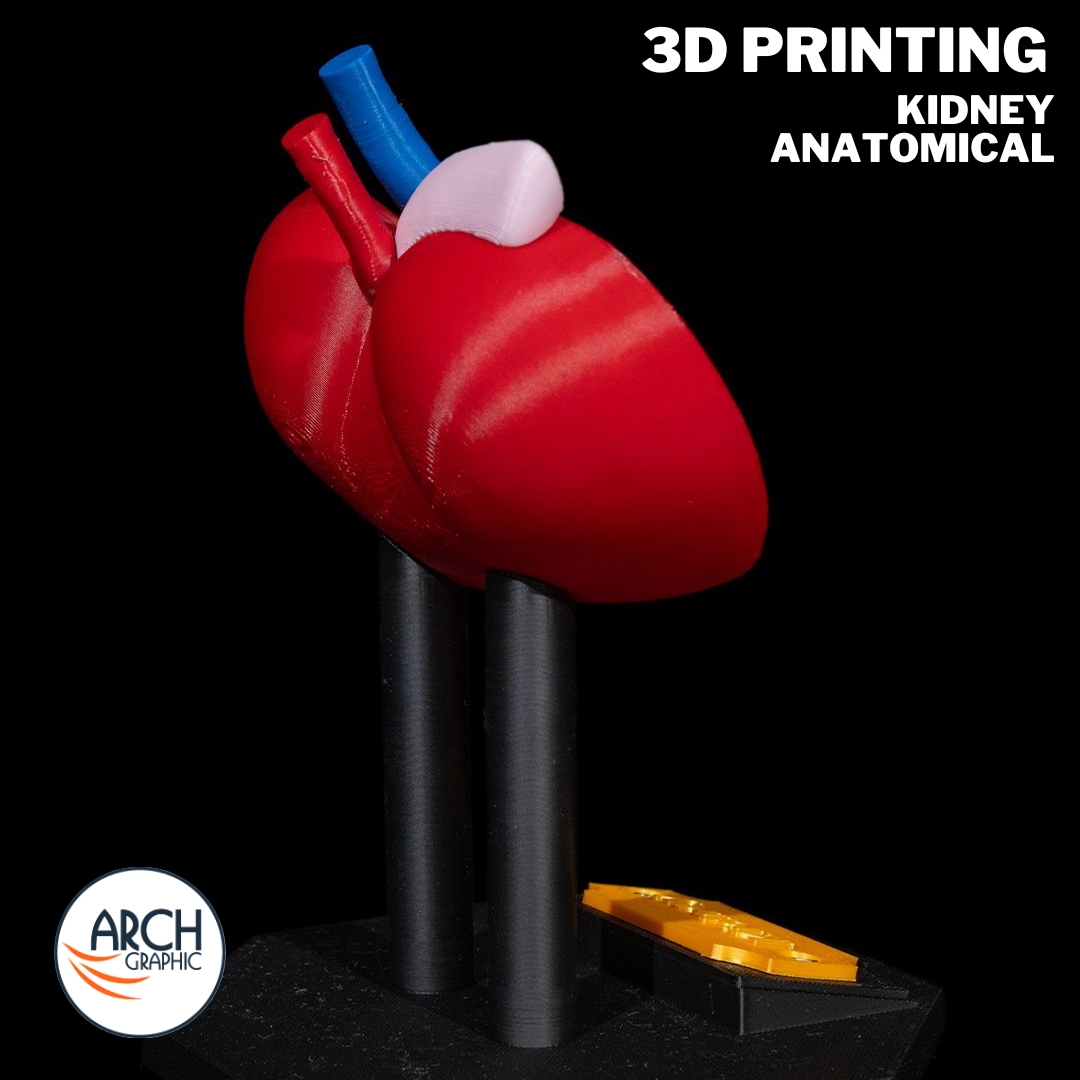 3d_archgraphic's tweet image. 🩺 3D Printed Kidney Anatomical Model 🏥
High-precision medical model for education, research
📍 Made in UAE
arch-graphic.com
#3DPrintingUAE #Medical3DPrinting #KidneyModel #AnatomicalModels #Healthcare3DPrinting #MedicalEducationUAE #SurgicalTraining #UAE3DPrint