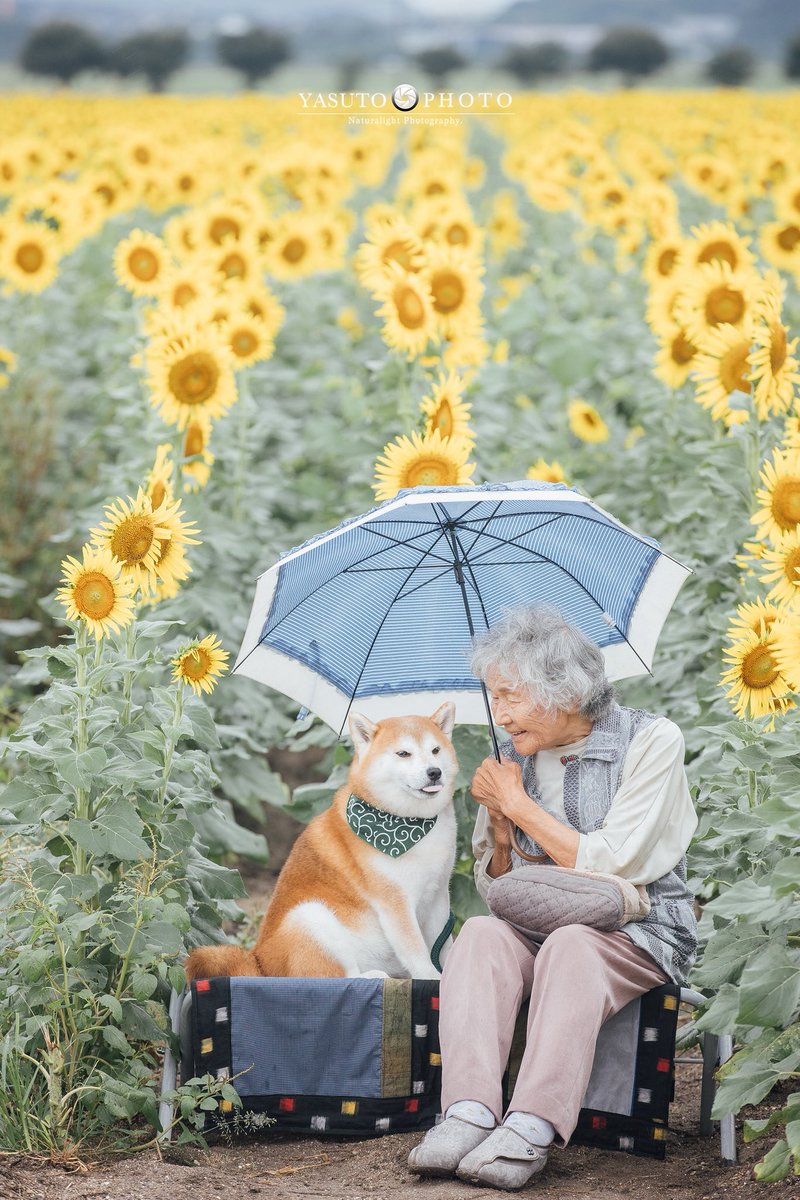 夏もわがままボディの福ちゃん🐶