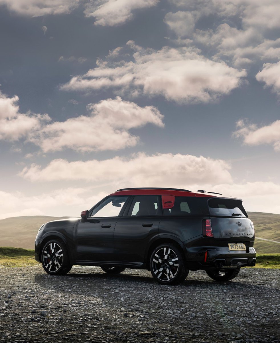 Lloyd MINI tweet media