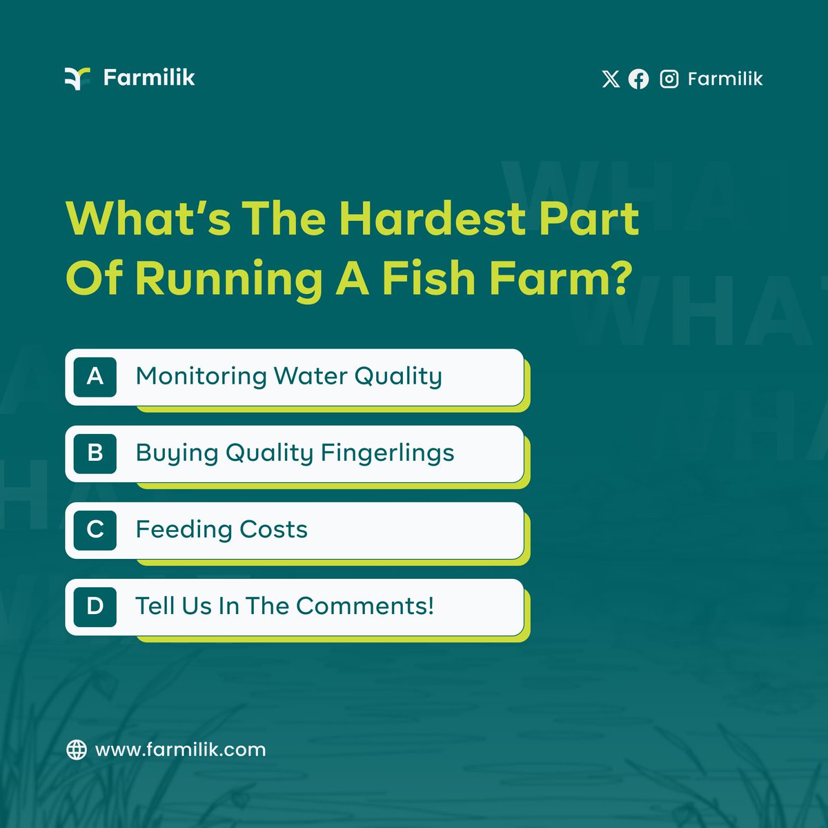Farmilik's tweet image. What are you finding difficult in fish farming?
#farmilik #ThursdayMotivation #AgriTech #nigerianfarmers #farmers #progress #naijafarmers #ThursdayMorning