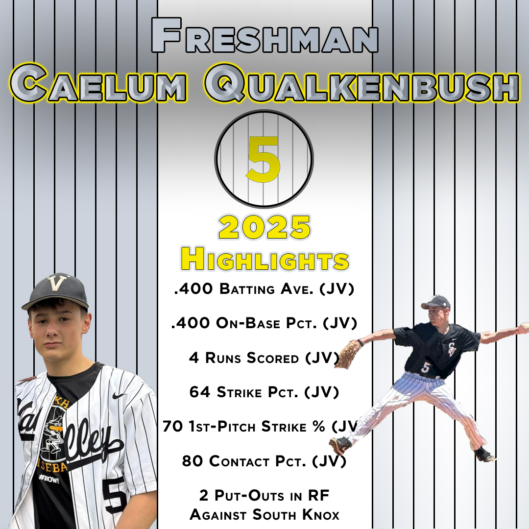 SV Baseball tweet media