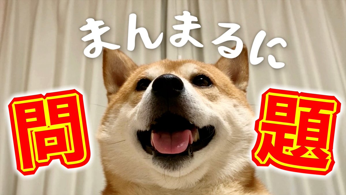 8471Fc's tweet image. 正解者は出るだろうか
【激ムズ】深夜テンション柴犬こむぎクイズで頭の体操をしよう!!
youtu.be/wK8lNW6unnA