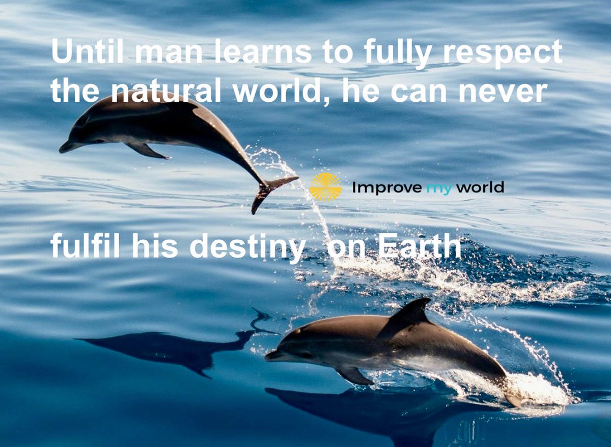 Improveyourworld tweet media