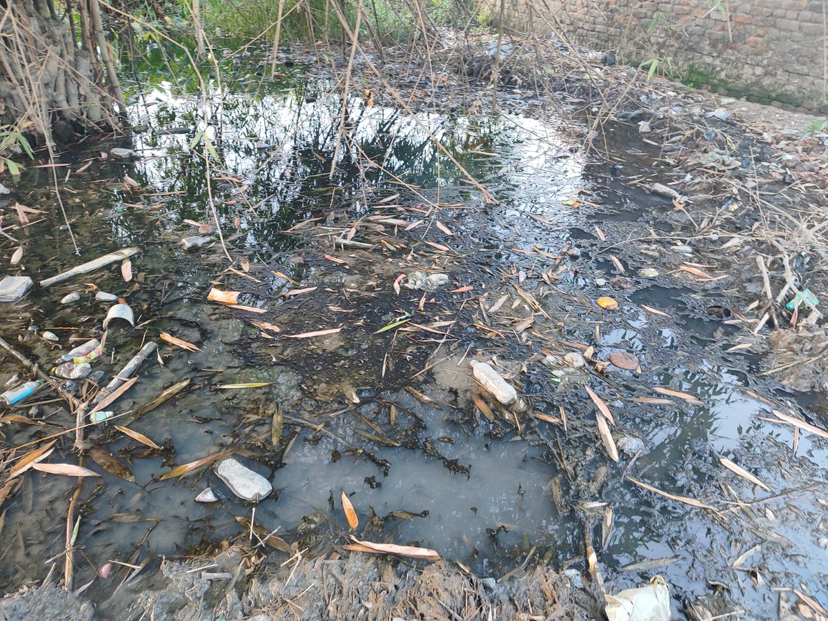 MDanishperwez's tweet photo. बिहार सरकार गांव में नाला तो बना नहीं पाई, लेकिन 'स्वस्थ मेला' लगाकर बीमारी दिखाने का तमाशा कर रही है। जब बुनियादी सुविधाएं ही नहीं होंगी तो मेले से कौन-सा स्वास्थ्य सुधरेगा? पहले गंदगी हटाओ, फिर नाटक दिखाओ!"
#SwasthyaMelaBihar https://t.co/f3tgdUoDtS