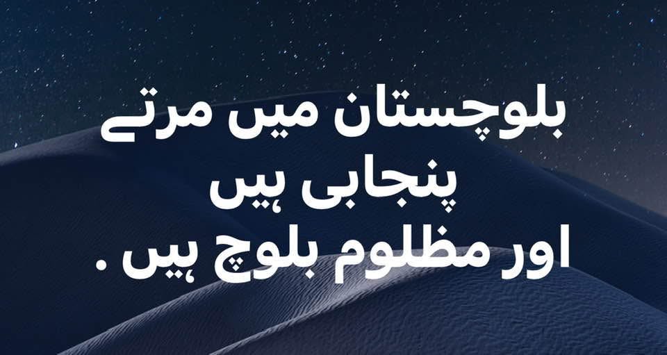 ShamaJunejo's tweet photo. https://t.co/gpwLhs8fRu