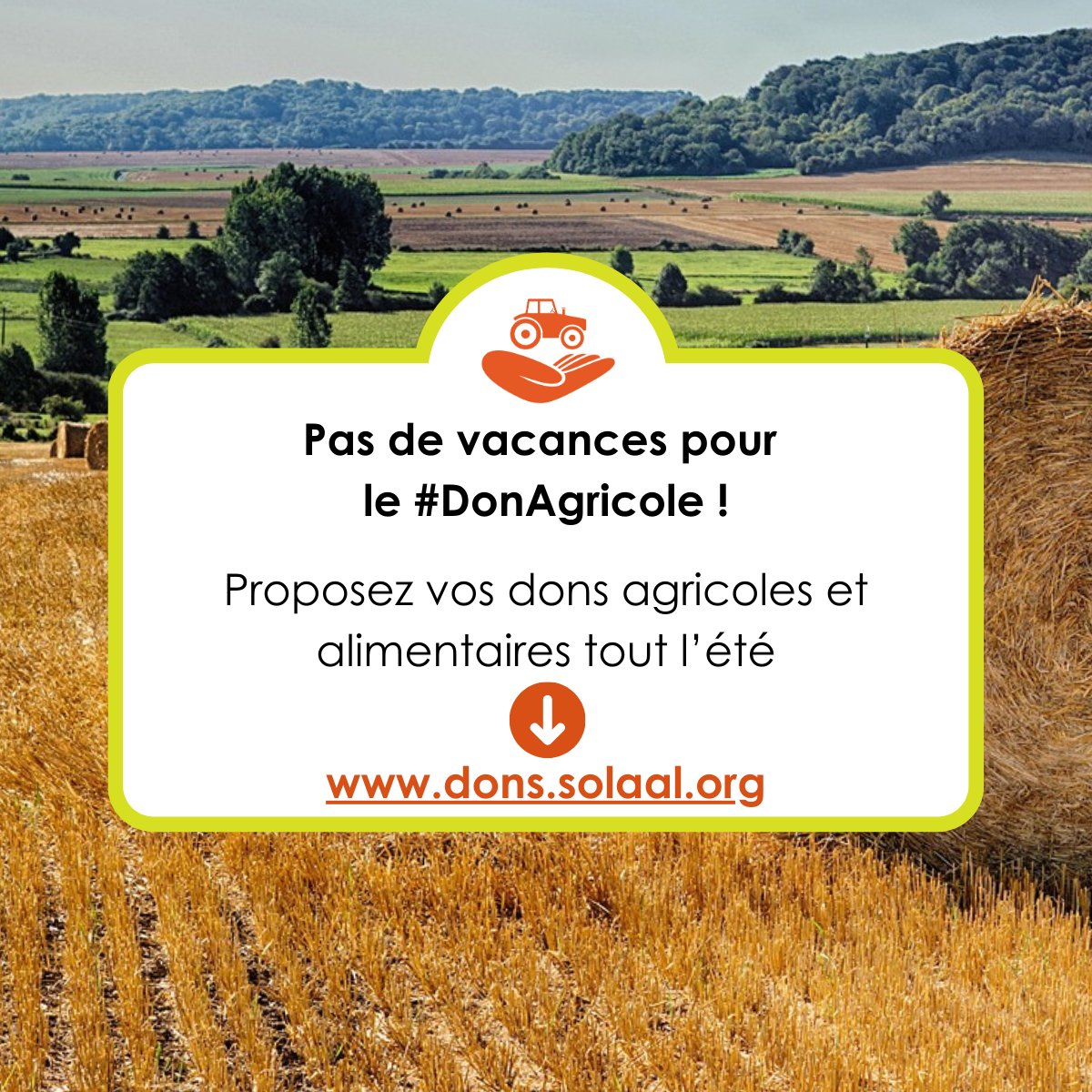 SOLAAL HdF - Facilite le don agricole (@solaalhdf) on Twitter photo Pas de vacances pour le #DonAgricole ! 🍓
Le réseau <a href="/SOLAAL_/">SOLAAL</a> reste mobilisé tout l’été pour accompagner la redistribution des invendus agricoles aux associations d’aide alimentaire.
💚Donnez vos invendus👉dons.solaal.org
L’équipe <a href="/SOLAALHdF/">SOLAAL HdF - Facilite le don agricole</a> vous souhaite un bel été !🌞 Pas de vacances pour le #DonAgricole ! 🍓
Le réseau <a href="/SOLAAL_/">SOLAAL</a> reste mobilisé tout l’été pour accompagner la redistribution des invendus agricoles aux associations d’aide alimentaire.
💚Donnez vos invendus👉dons.solaal.org
L’équipe <a href="/SOLAALHdF/">SOLAAL HdF - Facilite le don agricole</a> vous souhaite un bel été !🌞