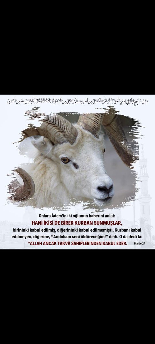 Allah c.c. ancak takva sahiplerinden kabul eder
Maide 27
www anadoluinfak.org
#hayırlicumalar #infak #bağış