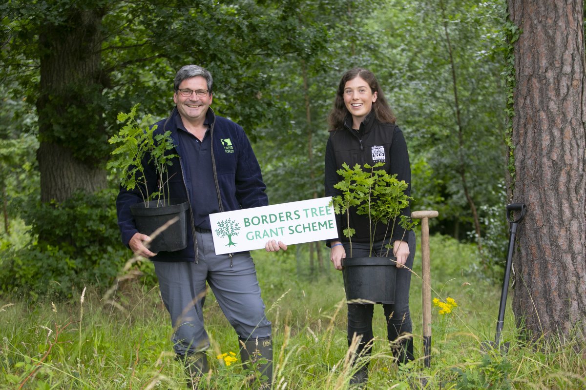 Almost 10,000 native landscape trees were planted last year thanks to our Borders Tree Grant Scheme! The 2025-26 scheme will launch shortly with grants of up to £1k available for farmers, landowners or non-profit organisations. More info here: tweedforum.org/our-work/proje…