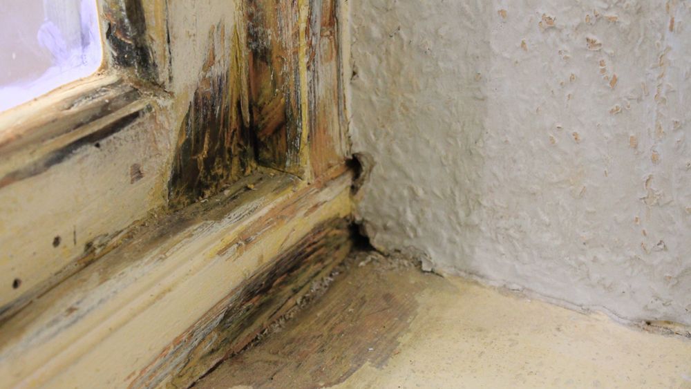Learn how to diagnose various damp issues around the home and fix them: buff.ly/XXySQLy #diy #DIYDoctor #homeimprovement #home #construction #remodel #building #homeinspo #homesweethome #renovation #homerenovation #projects #project #ideas #realestate #exteriordesign