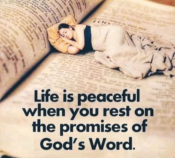 Sword⚔️&Torch🔦of God🤺🛡️📖🩺🏥 (@thompsonb2569) on Twitter photo <a href="/JohnBenCawley1/">John Ben Cawley</a> For all the promises of God in Him are yea, and in Him Amen, unto the glory if God by us
- 2 Corinthians 1:20
(Daily Readings)🌺 <a href="/JohnBenCawley1/">John Ben Cawley</a> For all the promises of God in Him are yea, and in Him Amen, unto the glory if God by us
- 2 Corinthians 1:20
(Daily Readings)🌺