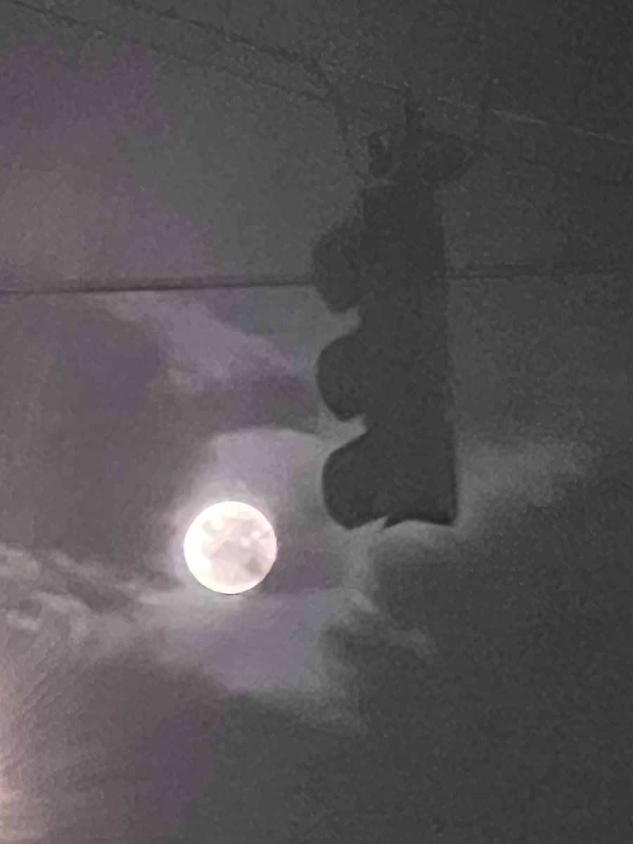 Pic I took this morning 7/11/25