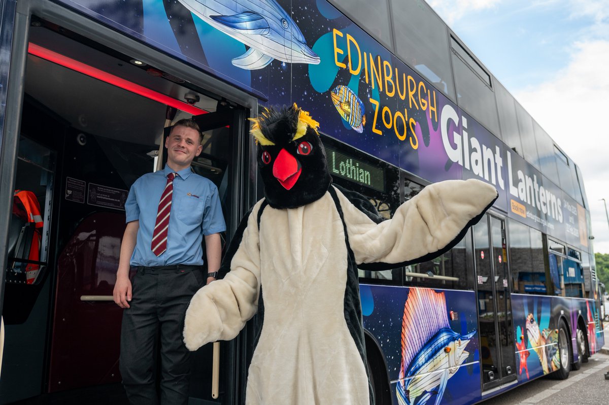 EdinburghZoo's tweet image. BIG NEWS rolling into town! Look out for Giant Lanterns @on_lothianbuses, lighting up the city streets this winter because we are SO BACK! 🚌✨
We’re making a giant splash with our most dazzling display yet and we’re bringing the magic to the city – one bus stop at a time. Keep…