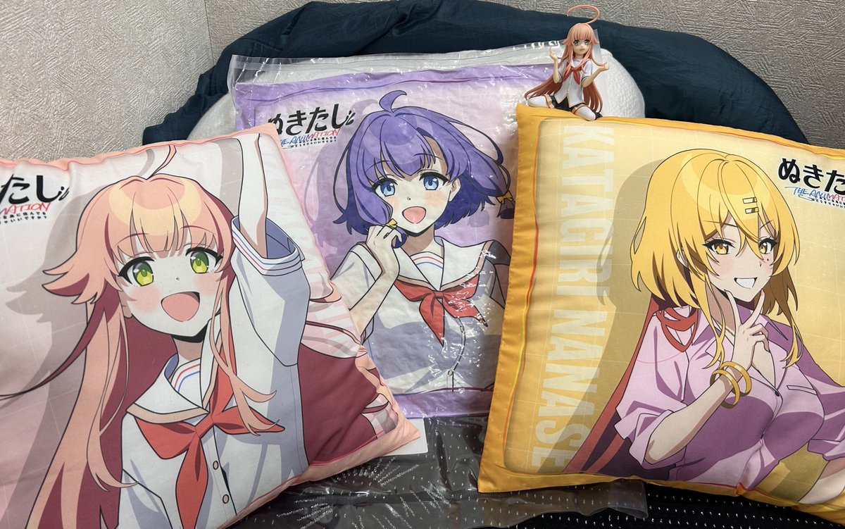 プライズのサンプルもらったのでパシャリコ₍₍(ง˘ω˘)ว⁾⁾
真ん中は圧縮されて痩せた畔美岬
 #ぬきアニ