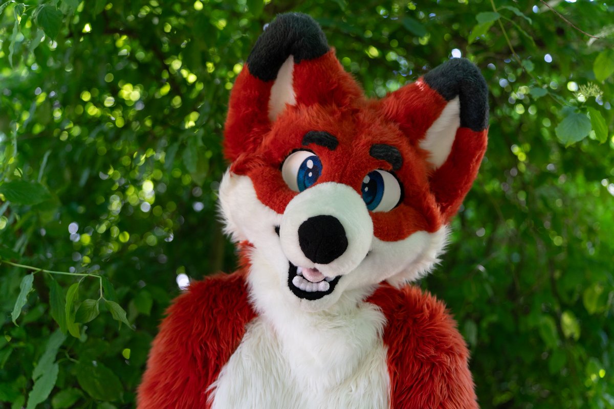 Sometimes life is about change, taking a step forward, not backwards. Sometimes, our appearance changes with us. Thank you Dbleki for helping me take the step. 

Happy #fursuitfriday

Head by:
<a href="/Dbleki/">Dbleki</a>
Rest by:
@/costumes_by_wrii(Instagram) 

📷
<a href="/HypiTheFox/">Hypi</a>
#furry #fursuit