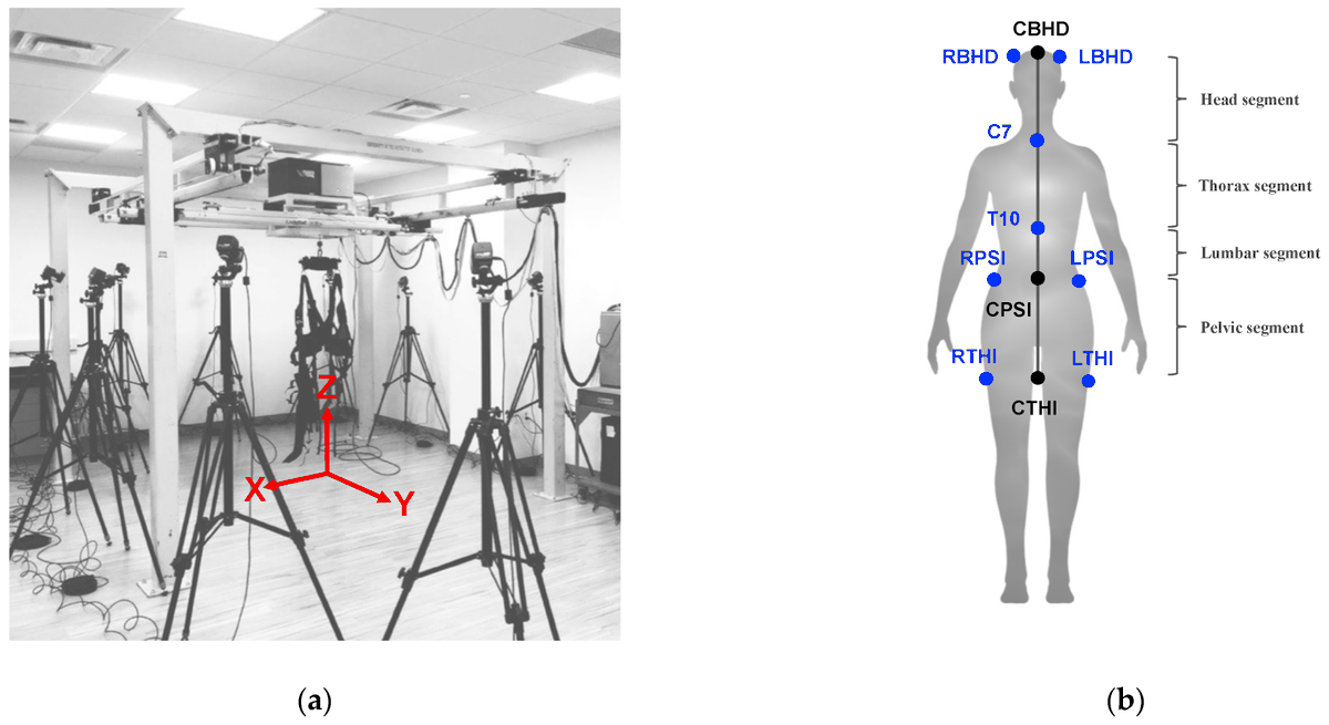 This study used motion capture to examine body kinematics during four walking tasks—ranging from forward walking (easiest) to backwards-tandem walking (most challenging). lnkd.in/gPE7yGMx

#Biomechanics #Motion #Aging #Posture #Gait #Kinesiology #Rehabilitation  #Human