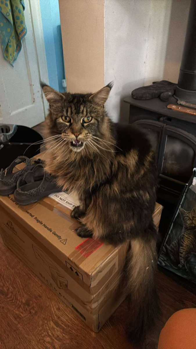 Mark Lawrence tweet media