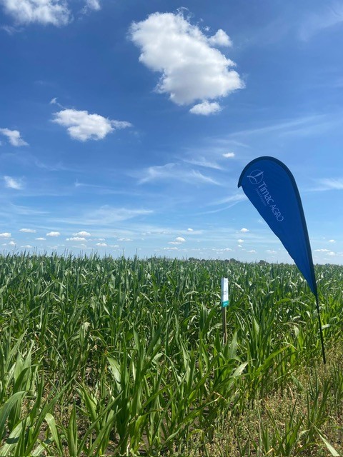 OpenfieldTM's tweet photo. A great day yesterday as the team attended @TimacAgroUK Trials in Chatteris🌱

💡Impressive demos across sugar beet, maize and more. Thanks to all involved!👏

We highly recommend attending next year. #AgTech #CropTrials #UKFarming