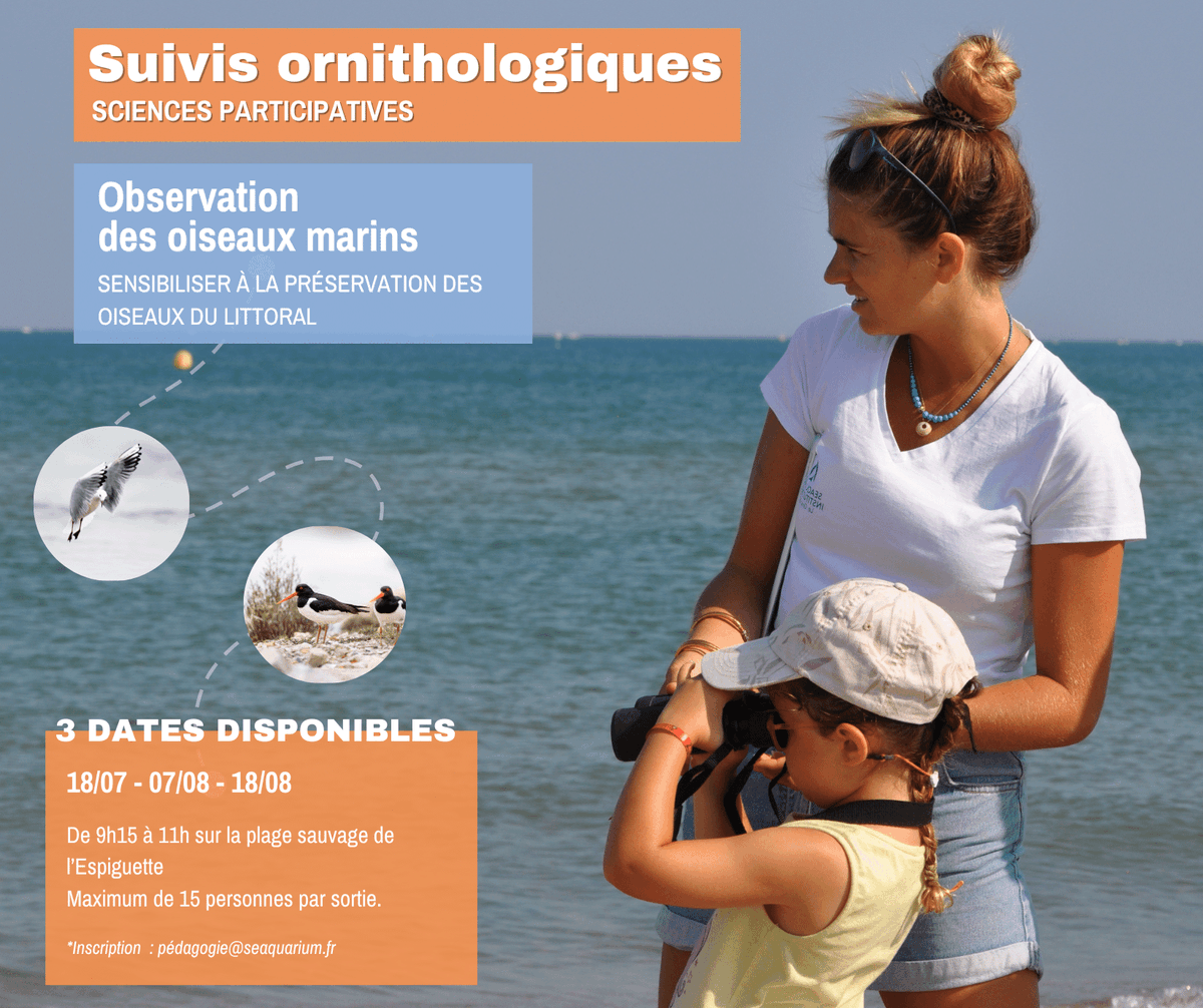 Echosciences Occitanie (@echoscisud) on Twitter photo Vous prévoyez de passer au Grau-du-Roi cet été ?
🐟Pensez à vous arrêter au <a href="/LeSeaquarium/">Le Seaquarium</a> et à parcourir leur programmation !
echosciences-sud.fr/membres/elodie…
Sorties ornithologiques, exploration du littoral, expositions... Il y en a pour tous les goûts et tous les âges 🤿👌 Vous prévoyez de passer au Grau-du-Roi cet été ?
🐟Pensez à vous arrêter au <a href="/LeSeaquarium/">Le Seaquarium</a> et à parcourir leur programmation !
echosciences-sud.fr/membres/elodie…
Sorties ornithologiques, exploration du littoral, expositions... Il y en a pour tous les goûts et tous les âges 🤿👌