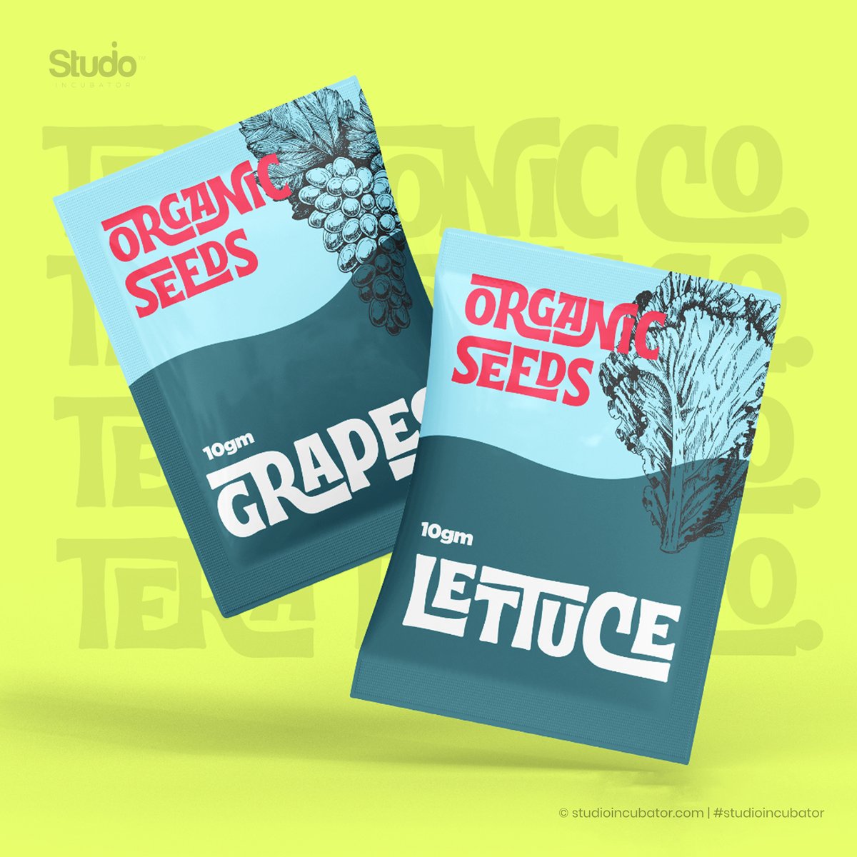 Terra Tonic Co.: Bold, Botanical Branding for a Modern Gardening Revolution

Explore more at studioincubator.com

Connect:
behance.net/studioincubator

#studioincubator #uiux #designpune #designeducation #graphicdesign #bestinstituteinpune #bestinstitute