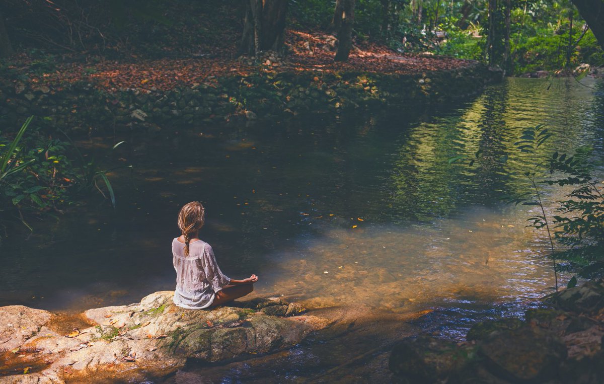 🌱 Today is #NationalSimplicityDay — a reminder that less is often more.
At Safe Soil UK, we believe in simple, powerful solutions:
🧱 Healthy soil
🌾 Clean food
🌍 A livable planet
Let’s get back to the basics — starting from the ground up. #SafeSoil #SoilHealth #Simplicity