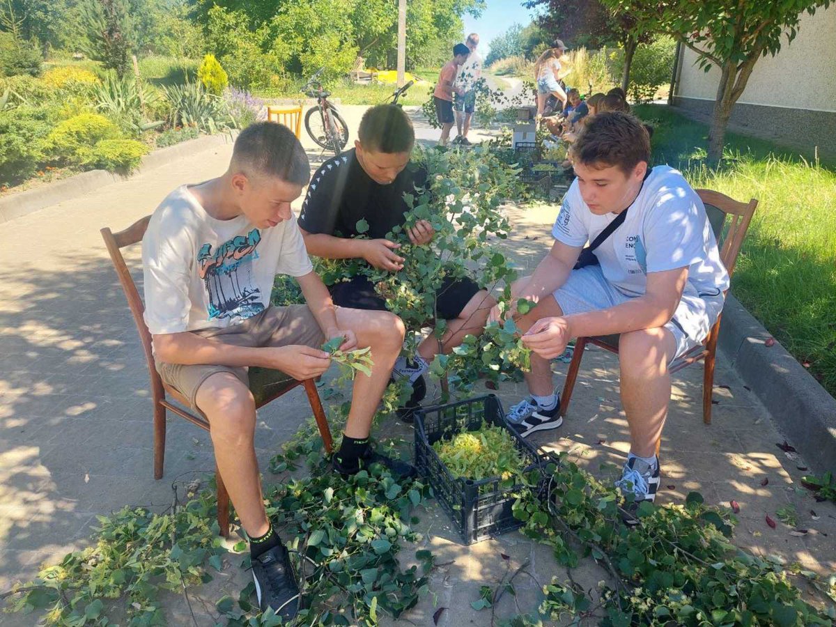 LVKitchen2014's tweet image. Our future! Linden blossom for tea🫶💛💙
#Ukraine
#VolunteerWork