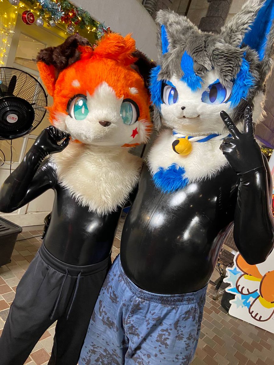 毛五兼膠五:D
毛:<a href="/CakeMontblanc/">フィー(給給)🇹🇼 w/🦊モンブラン＆Cuco</a> 
📸:<a href="/mujimuji1010/">むじ</a> 
#FursuitFriday